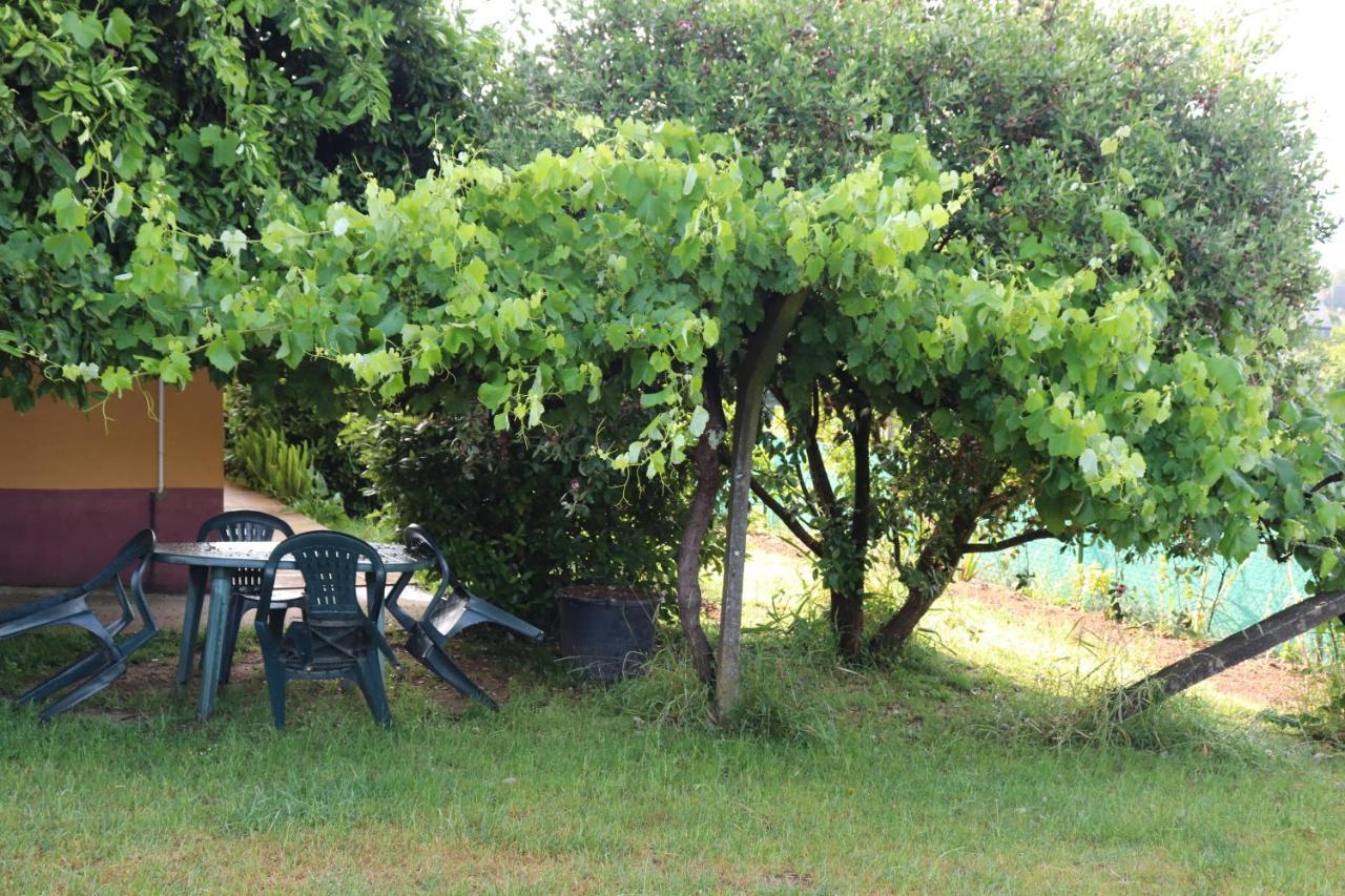 Vixia Do Val, 